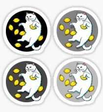 Cat With Lemons Sticker