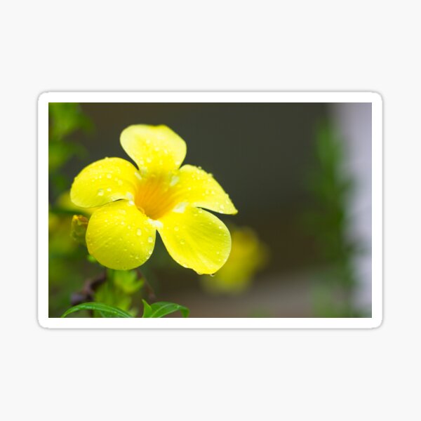 Yellow flower Sticker