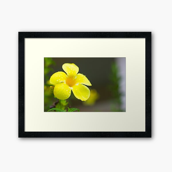 Yellow flower Framed Art Print