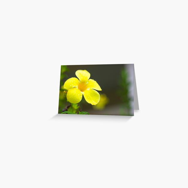 Yellow flower Greeting Card