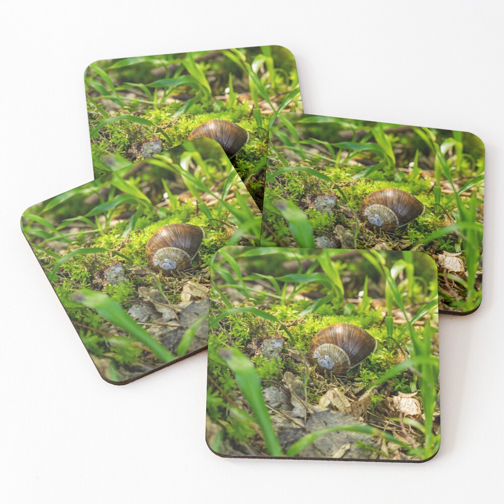 Item preview, Coasters (Set of 4) designed and sold by wolf22flow.