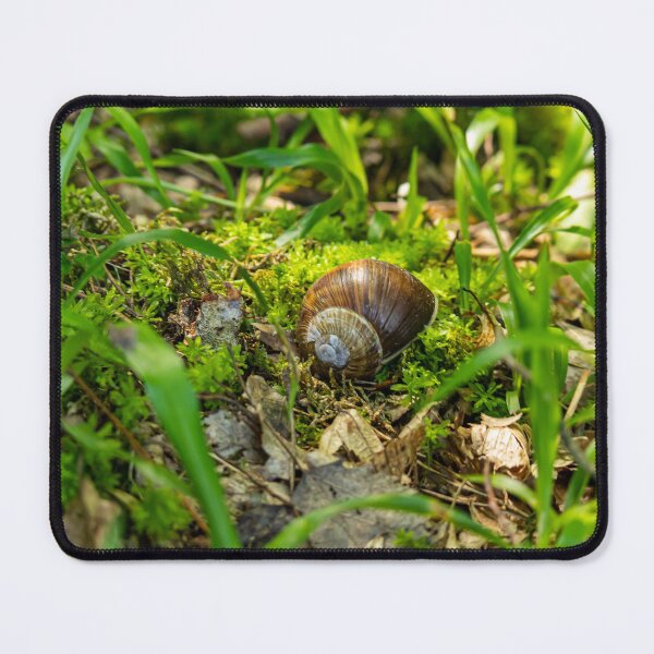 Item preview, Snail designed and sold by Wolf22floW.