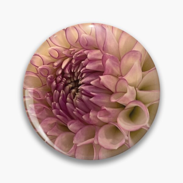 Item preview, Dhalia Pinnata flower closeup designed and sold by Ponted.