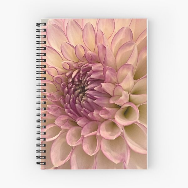 Item preview, Dhalia Pinnata flower closeup designed and sold by Ponted.