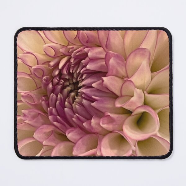 Item preview, Dhalia Pinnata flower closeup designed and sold by Ponted.