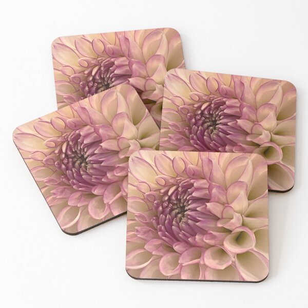 Item preview, Dhalia Pinnata flower closeup designed and sold by Ponted.