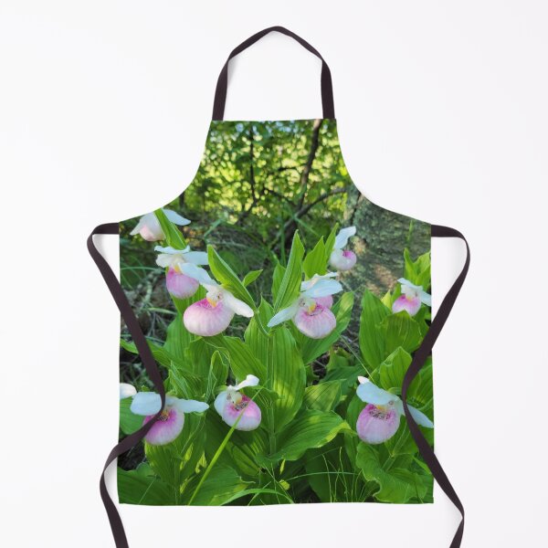 Item preview, Showy Lady's Slippers at Itasca State Park designed and sold by Debbie Center.