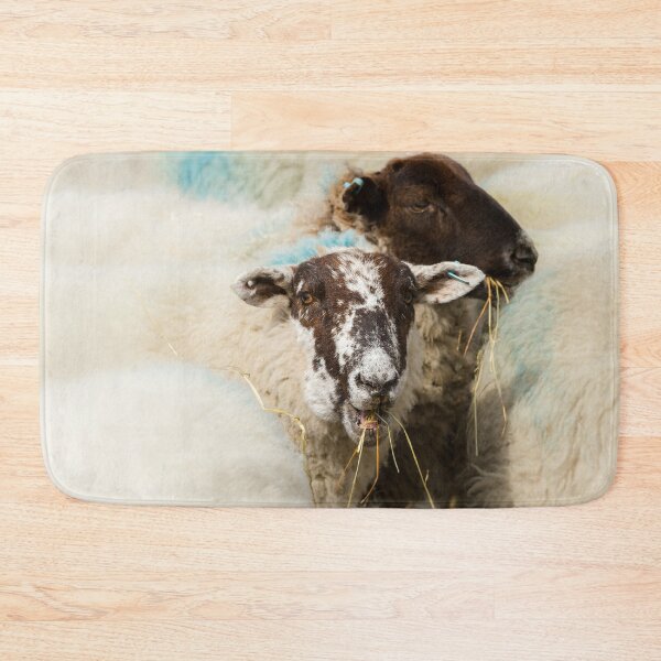 Item preview, Lunchtime for Sheep designed and sold by Jane Stanley Photography.
