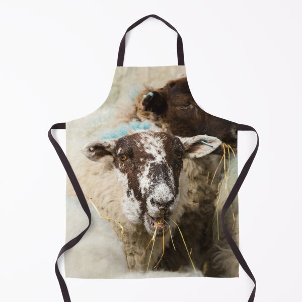 Item preview, Lunchtime for Sheep designed and sold by Jane Stanley Photography.