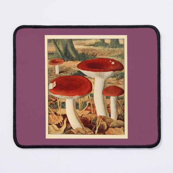 Item preview, Naturalist Mushrooms Shower Curtain designed and sold by syjwearkdlr1.
