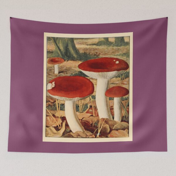 Item preview, Naturalist Mushrooms Shower Curtain 	 designed and sold by syjwearkdlr1.