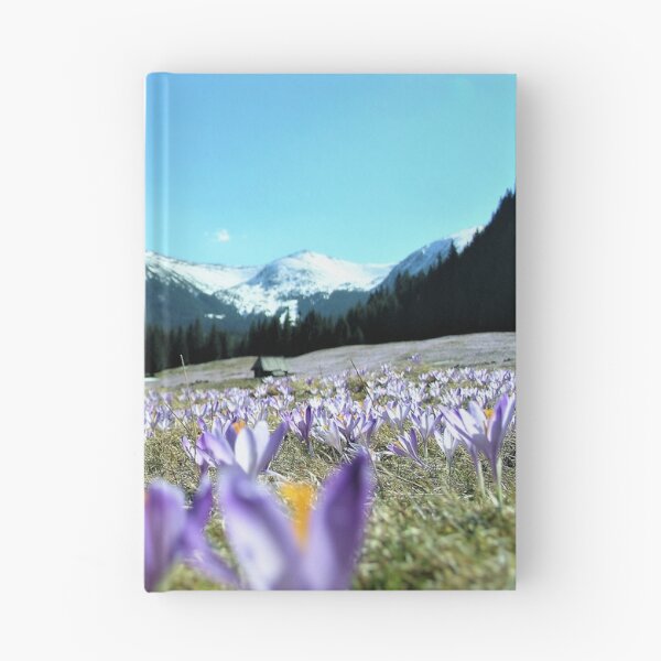 Item preview,  crocuses in the Chochołowska Valley designed and sold by AidaArt.