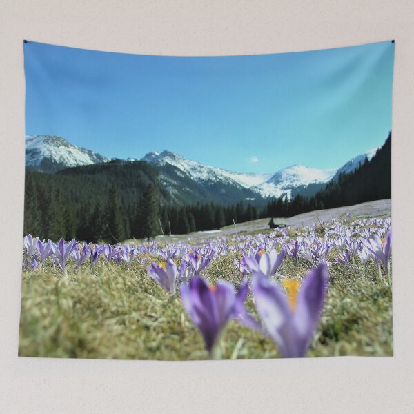 Item preview,  crocuses in the Chochołowska Valley designed and sold by AidaArt.