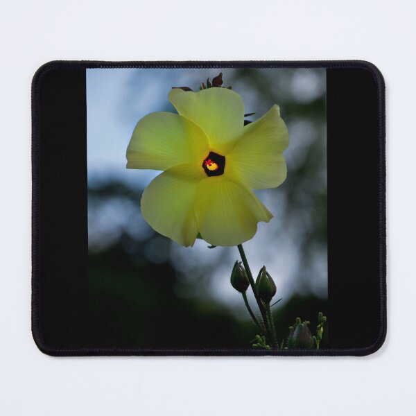 Item preview, San Rafael Way Flower Aglow designed and sold by alabca.