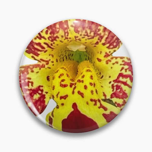 Item preview, Sweet Orchid print designed and sold by Susan Gallup.