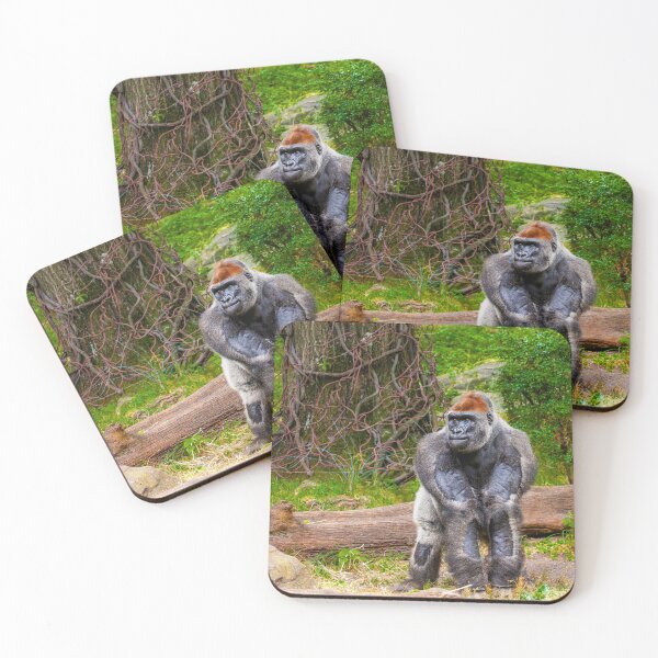 Artikelvorschau, Gorilla im Bronx Zoo entworfen und verkauft von JulieAnnPix.