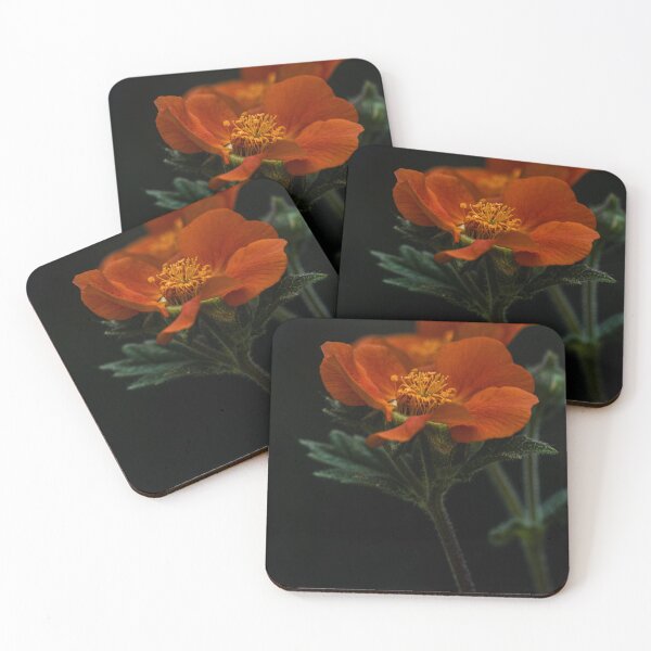 Item preview, Red avens flower with dark background designed and sold by marcrolandscape.