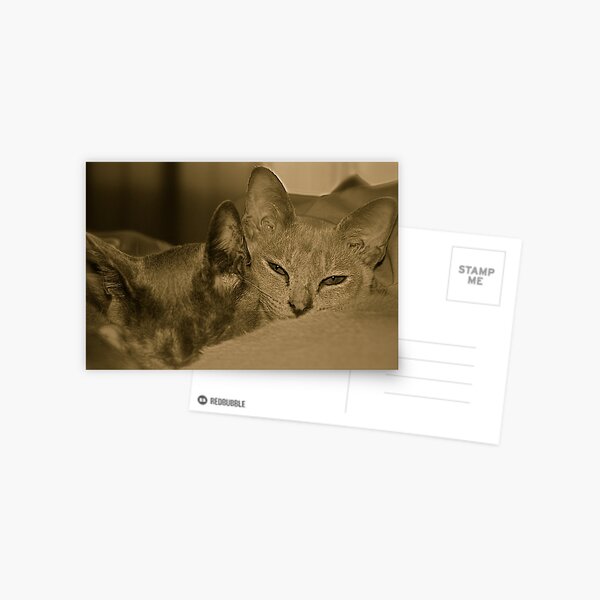 We'll be good, we promise. Postcard