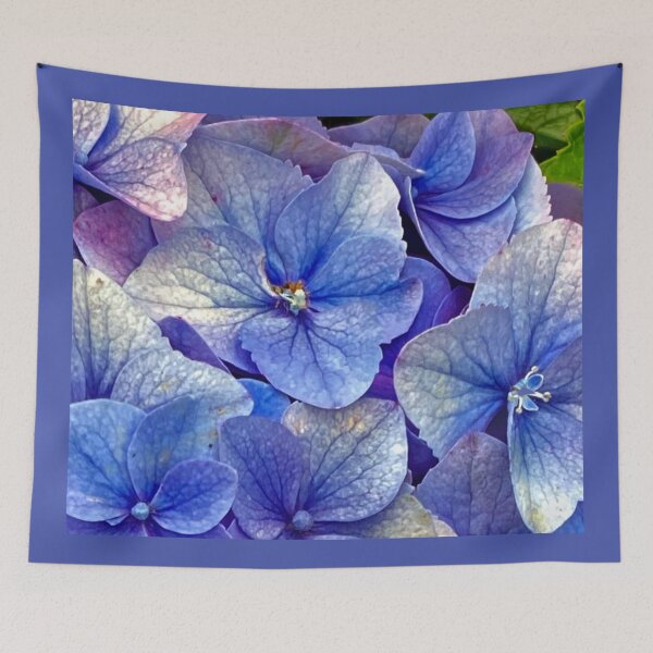 Item preview, Hydrangea close up designed and sold by Susan Gallup.