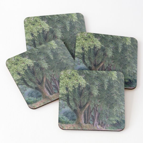 Item preview, Summer Woodland Trees designed and sold by JoSowden.