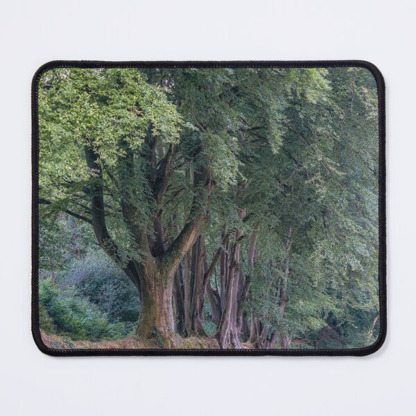 Item preview, Summer Woodland Trees designed and sold by JoSowden.