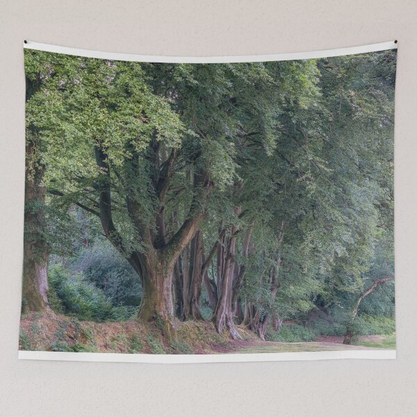 Item preview, Summer Woodland Trees designed and sold by JoSowden.