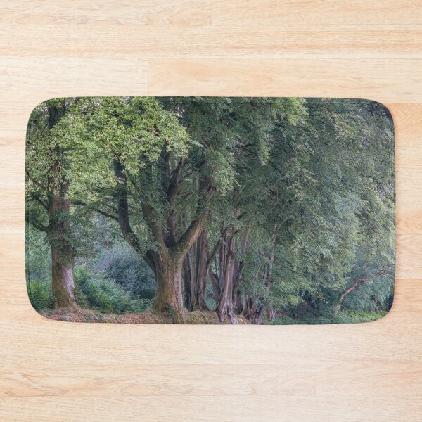 Item preview, Summer Woodland Trees designed and sold by JoSowden.
