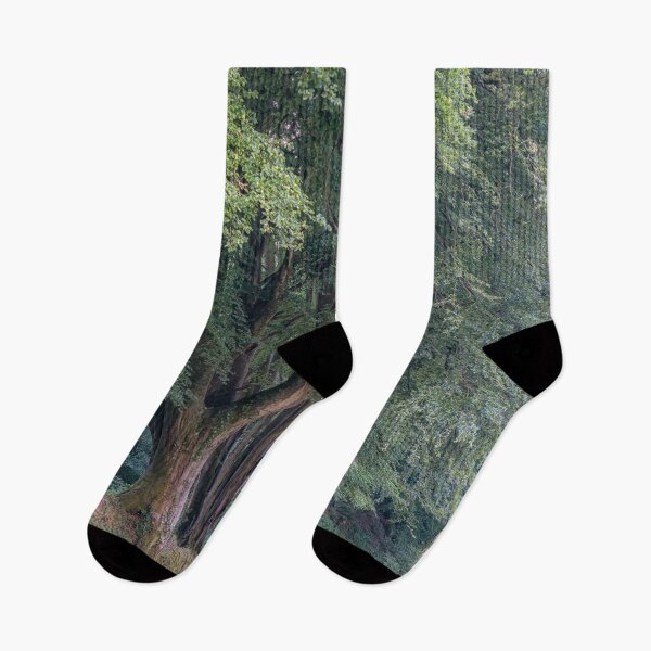 Item preview, Summer Woodland Trees designed and sold by JoSowden.