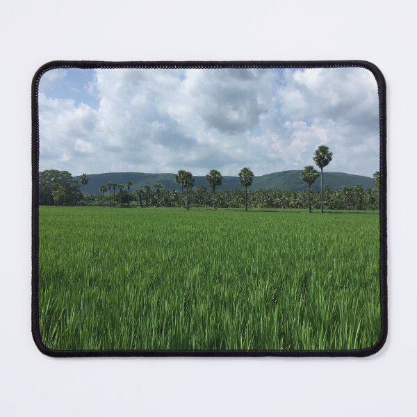Item preview, Rice field with coconut trees designed and sold by sasakwa.