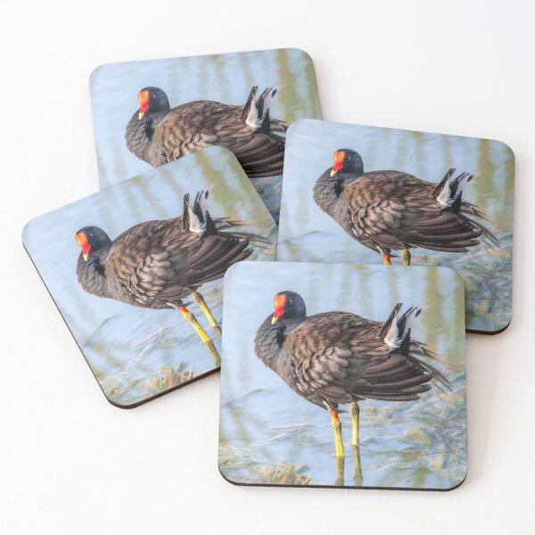 Item preview, Common Gallinule Looking Fluffy designed and sold by Debra Martz.