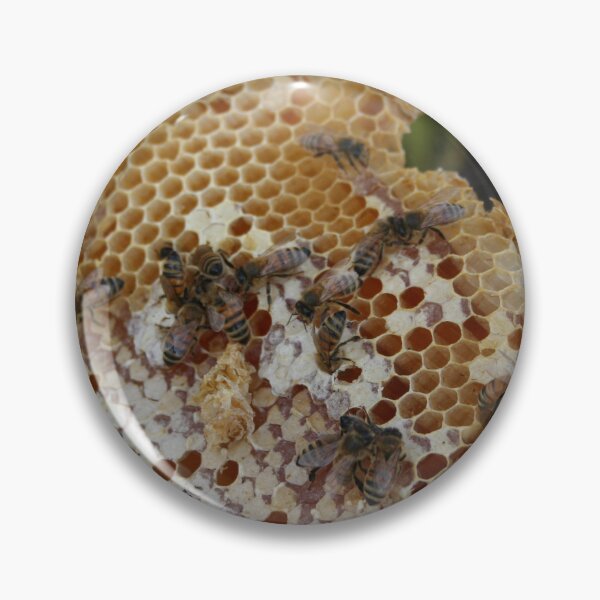 Item preview, Honey Bee and Comb designed and sold by nett1978.