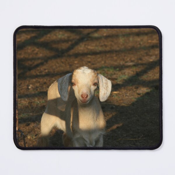 Item preview, Baby Goat designed and sold by nett1978.