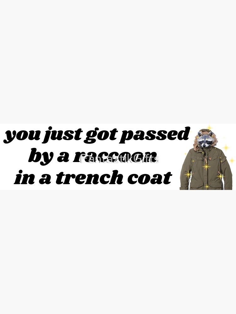 You just got passed by a raccoon in a trench coat Funny bumper