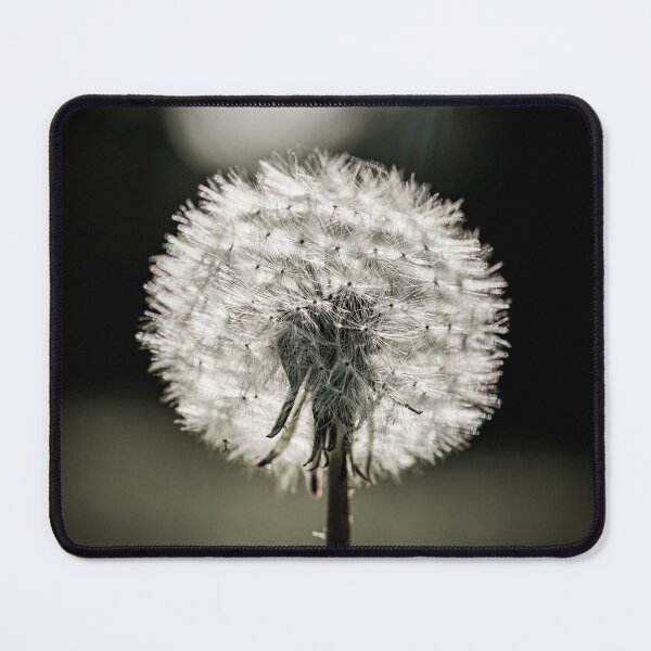 Item preview, Dandelion in black and white designed and sold by Schleiwolf.