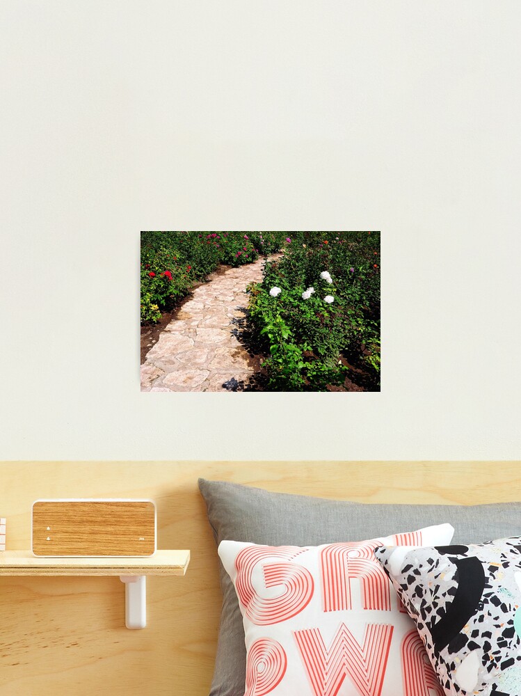 Thumbnail 2 of 3, Photographic Print, Rose Garden designed and sold by Mallorn.