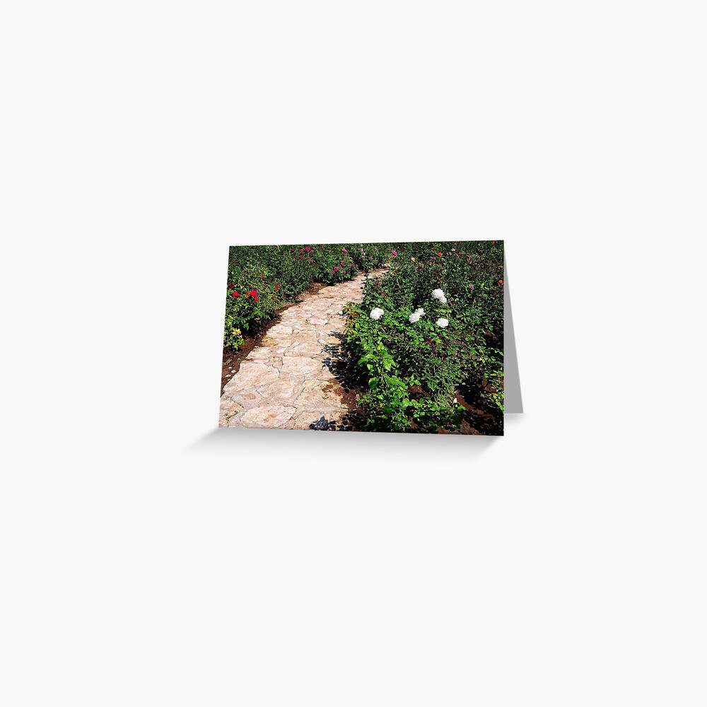 Item preview, Greeting Card designed and sold by Mallorn.