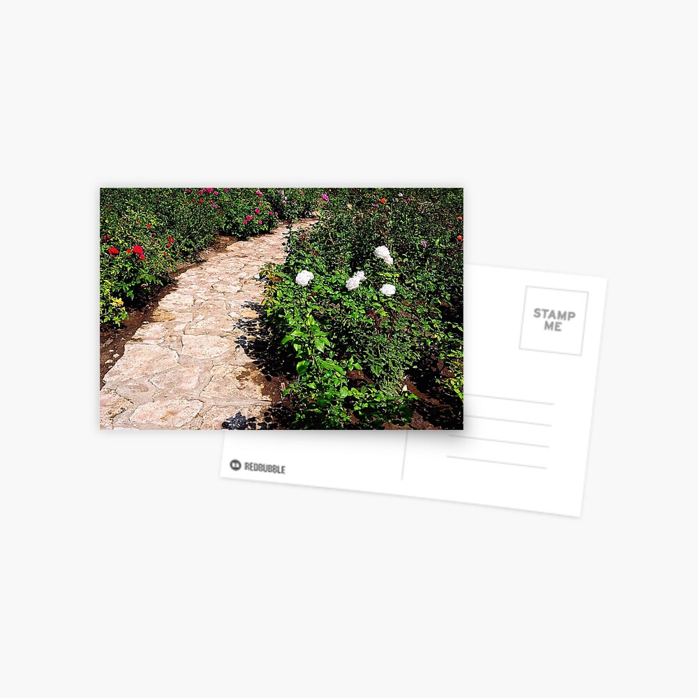 Item preview, Postcard designed and sold by Mallorn.