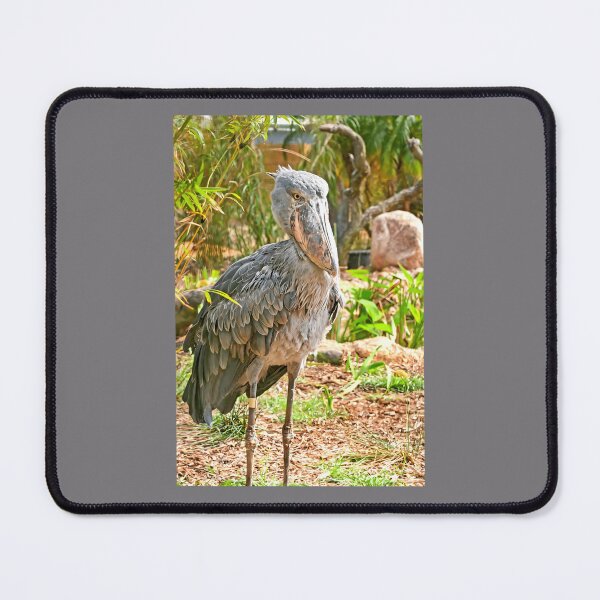 Item preview, Shoebill Stork designed and sold by khbmokws89.