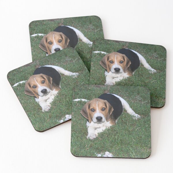 Item preview, Beagle Pup posing for his picture designed and sold by nett1978.
