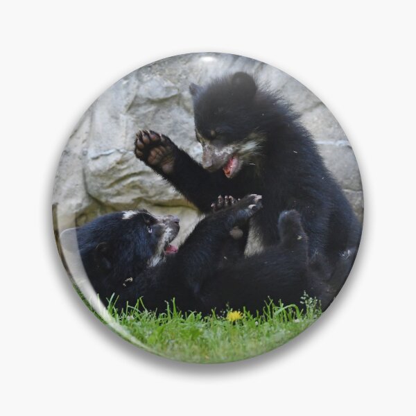 Item preview, Andean Bear Cubs at the National Zoo designed and sold by Zoo and Nature Photography by Karie.