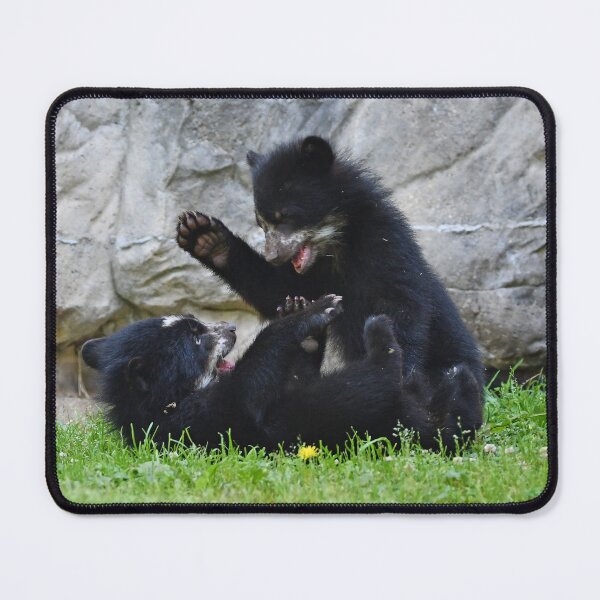 Item preview, Andean Bear Cubs at the National Zoo designed and sold by Zoo and Nature Photography by Karie.