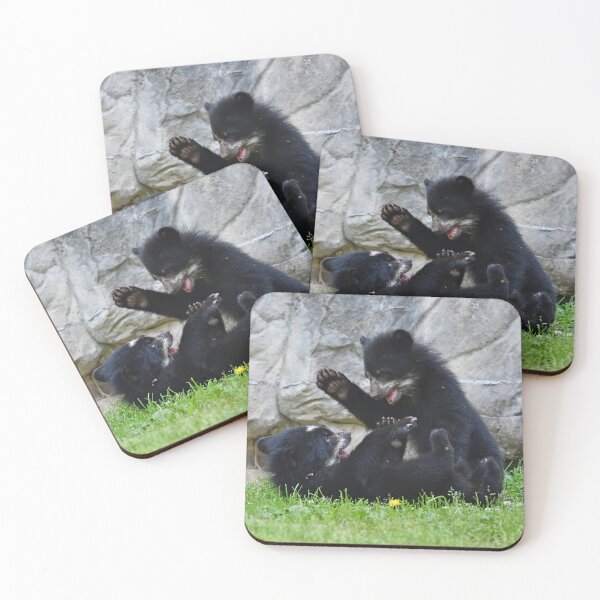Item preview, Andean Bear Cubs at the National Zoo designed and sold by Zoo and Nature Photography by Karie.
