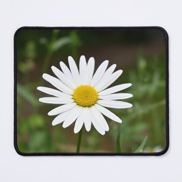 Item preview, daisy designed and sold by Schleiwolf.