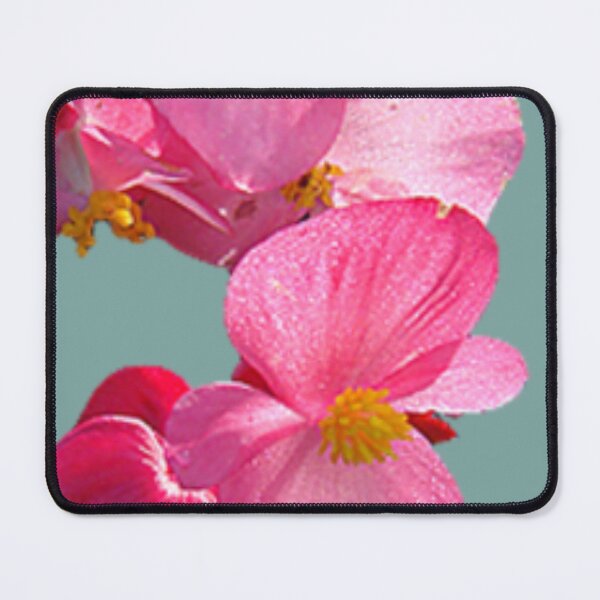 Item preview, Flower developed orchid pink-purple solitary   designed and sold by JaroDesign2023.