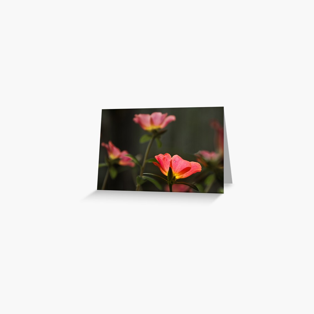 Item preview, Greeting Card designed and sold by wootton60.