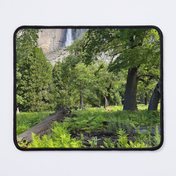 Artikelvorschau, Schauen Sie sich zunächst die Yosemite Falls an entworfen und verkauft von Alison Hindenlang.