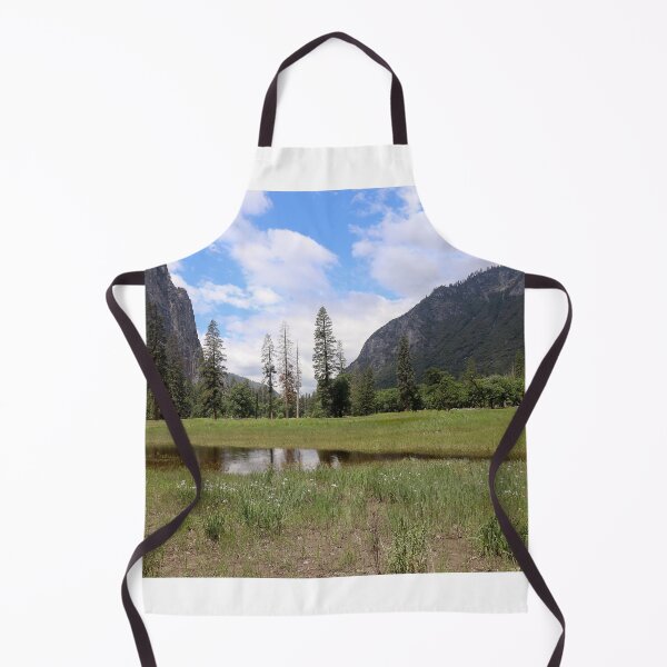 Artikelvorschau, Blick auf die Yosemite-Talwiese entworfen und verkauft von Alison Hindenlang.