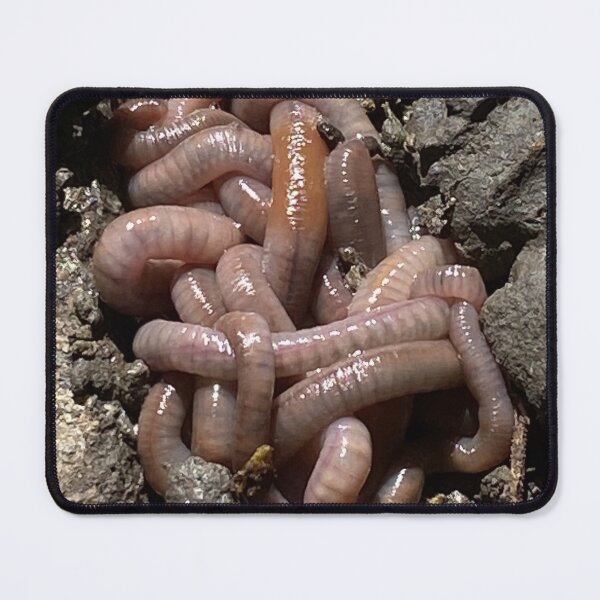 Item preview, Earth Worms designed and sold by LifeSpice.