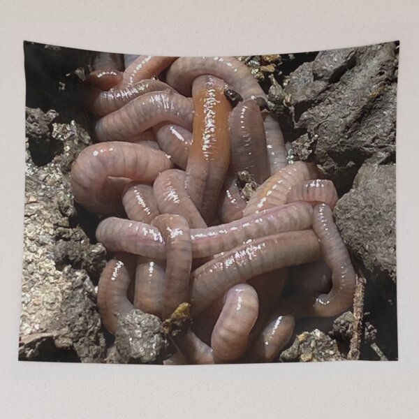 Item preview, Earth Worms designed and sold by LifeSpice.