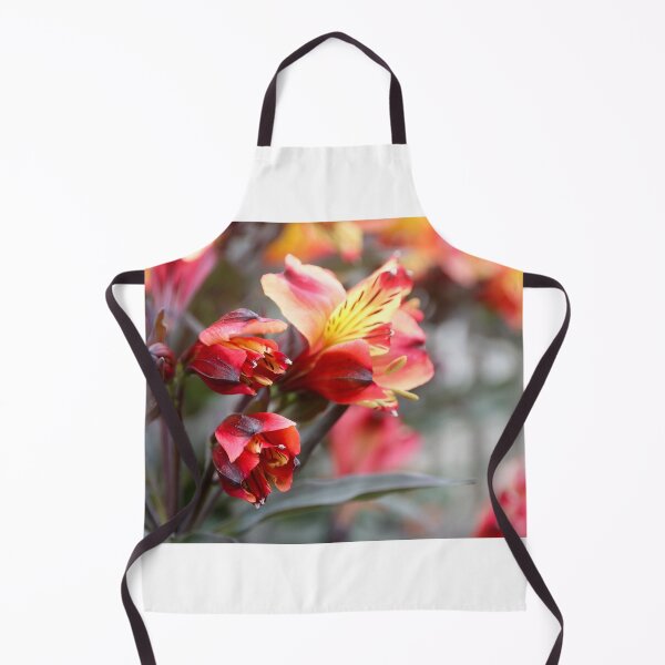 Item preview, Peruvian Lily close up designed and sold by Alison Hindenlang.